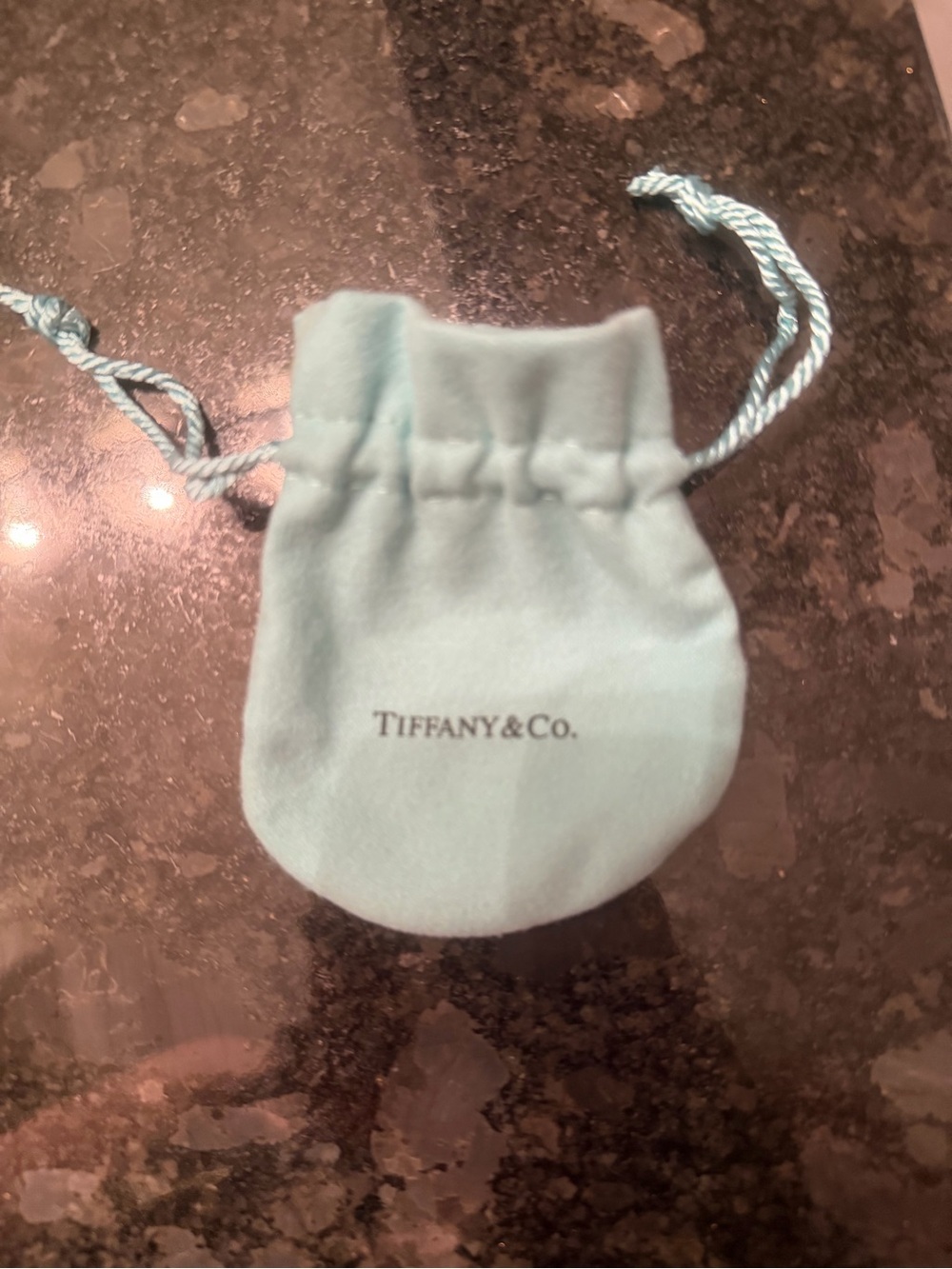 Tiffany & Co. Light Blue Drawstring Pouch